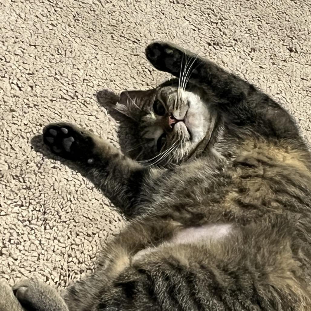 Ms. Pac Man thumbnail 2