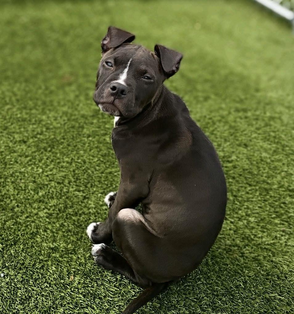 Lucy Lou thumbnail 4