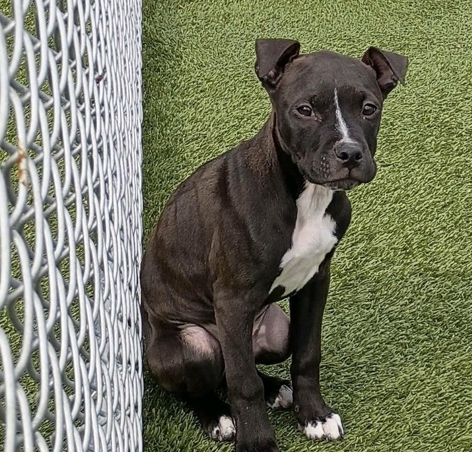 Lucy Lou thumbnail 5