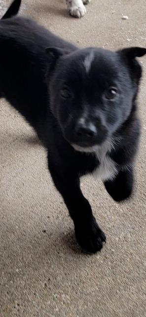 Maui.   Cfv thumbnail 2