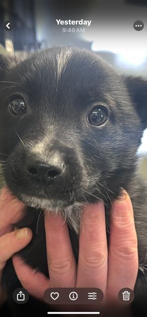 Maui.   Cfv thumbnail 3