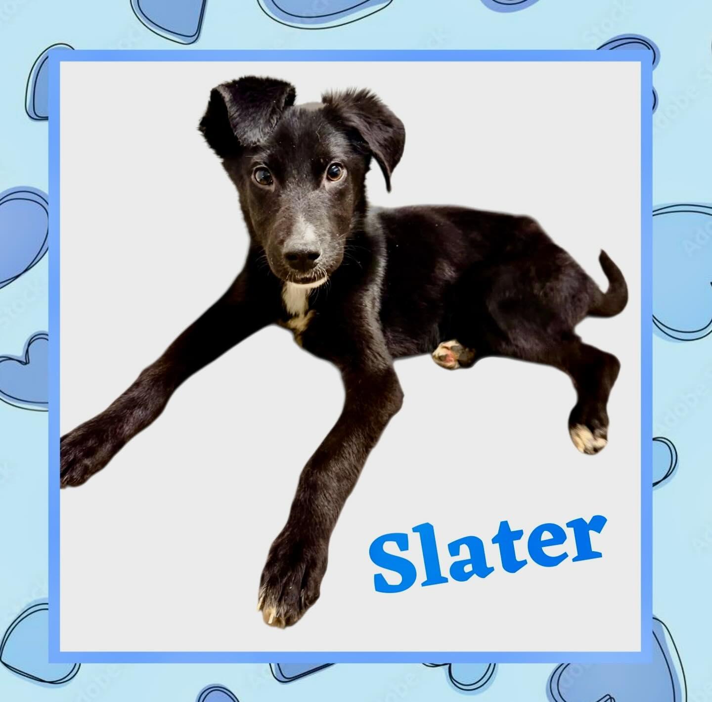 Slater thumbnail 2