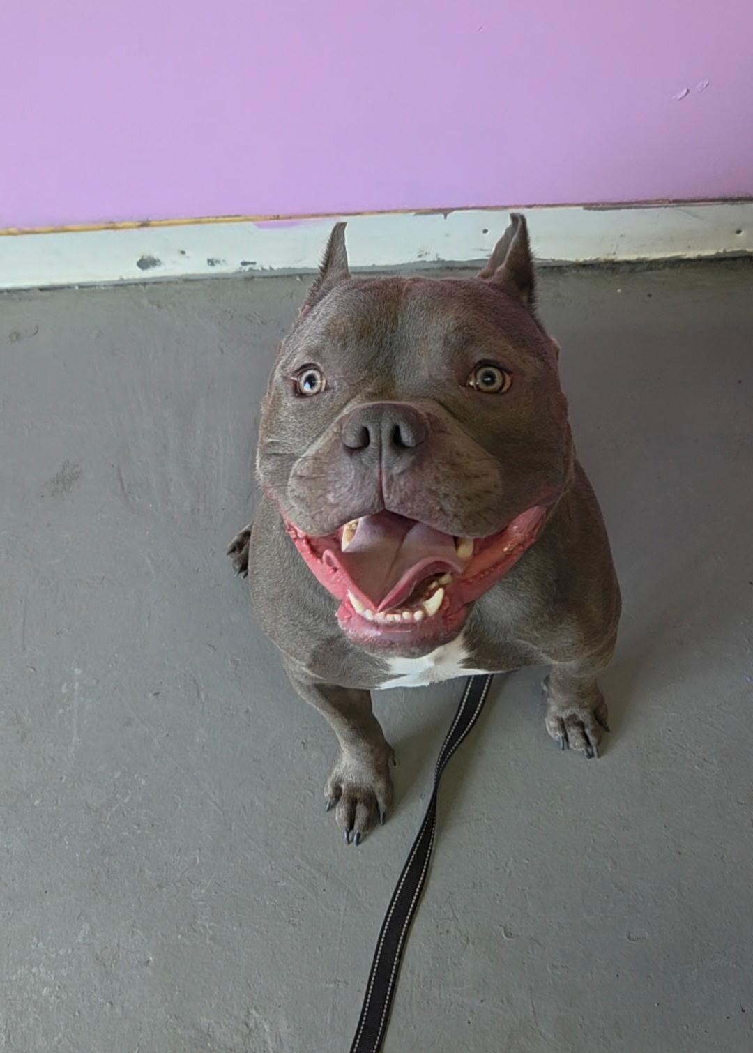 Bruce Wayne Cl thumbnail 2