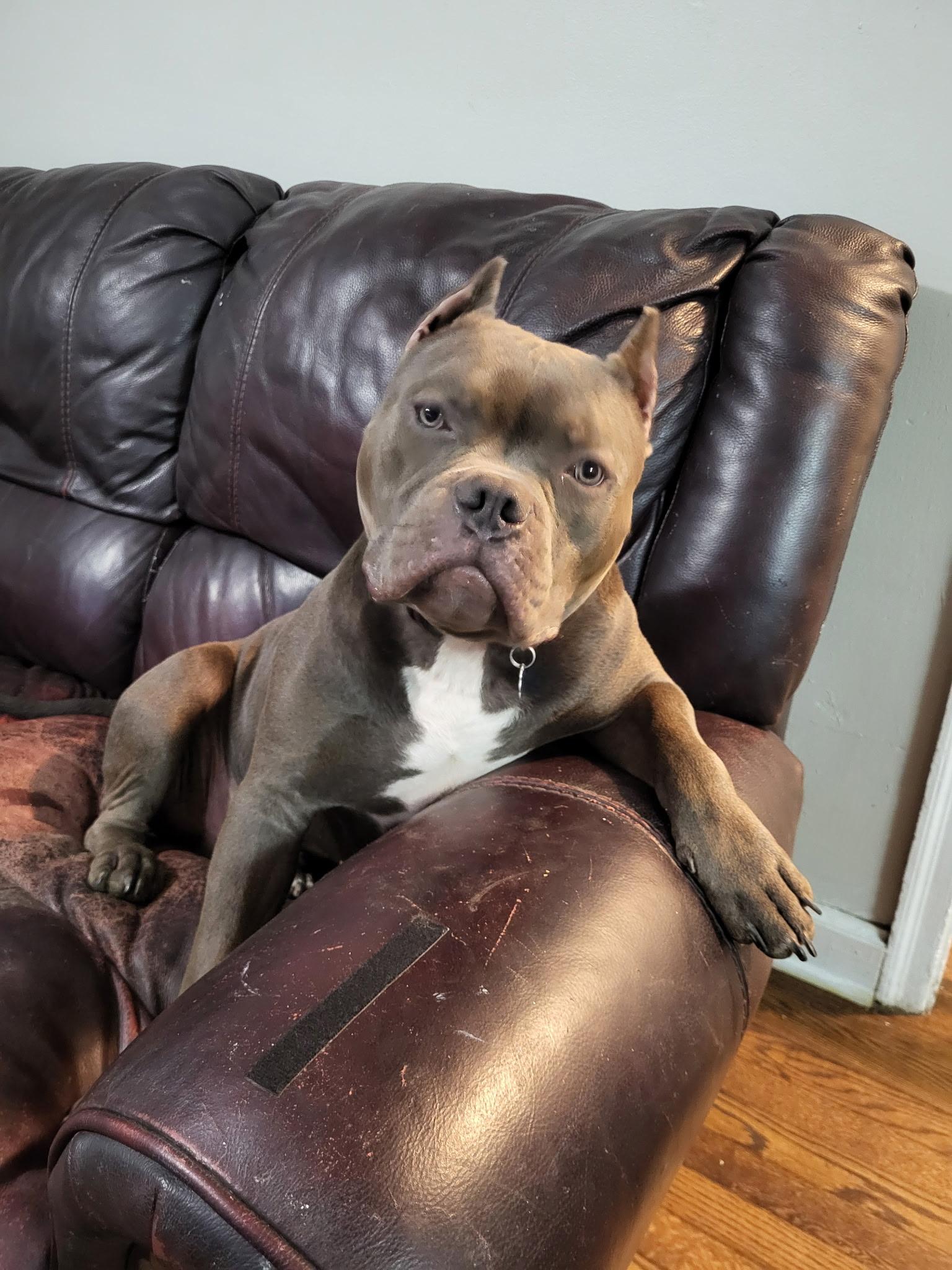 Bruce Wayne Cl thumbnail 3