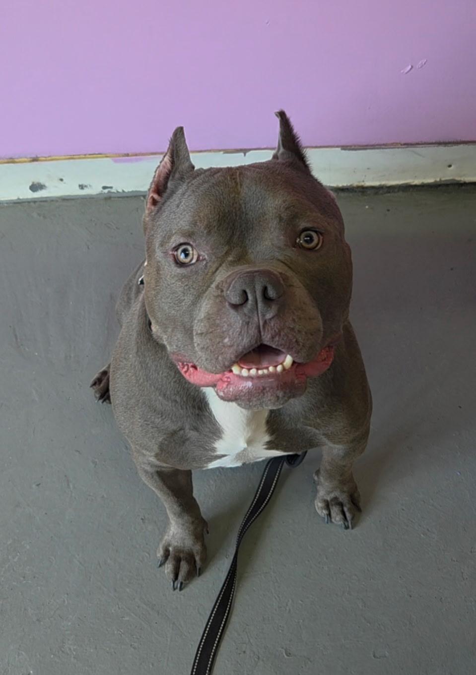 Bruce Wayne Cl thumbnail 5