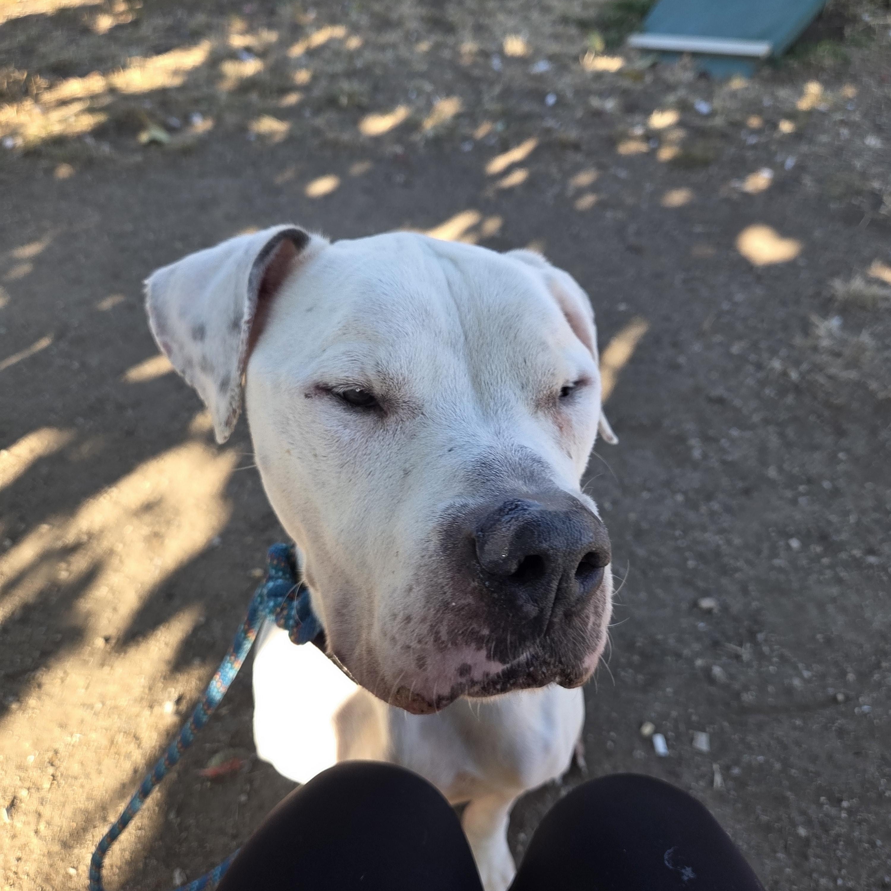 Fletcher thumbnail 2