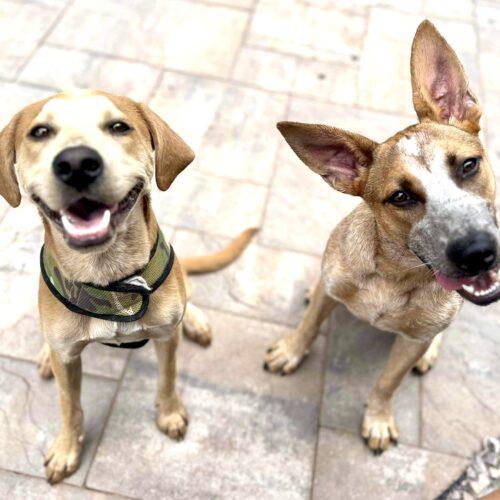 Happy Boy Nathan thumbnail 2