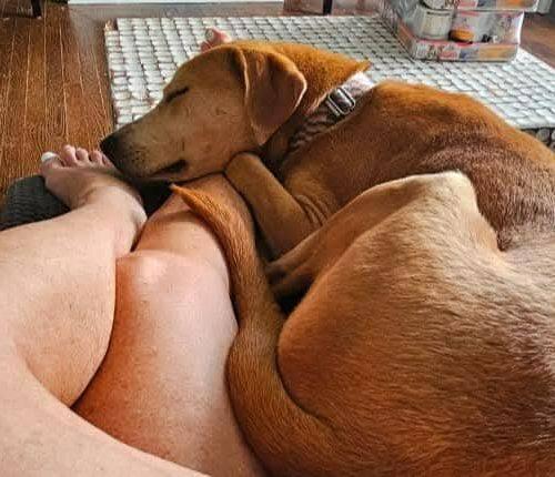 Happy Boy Nathan thumbnail 5