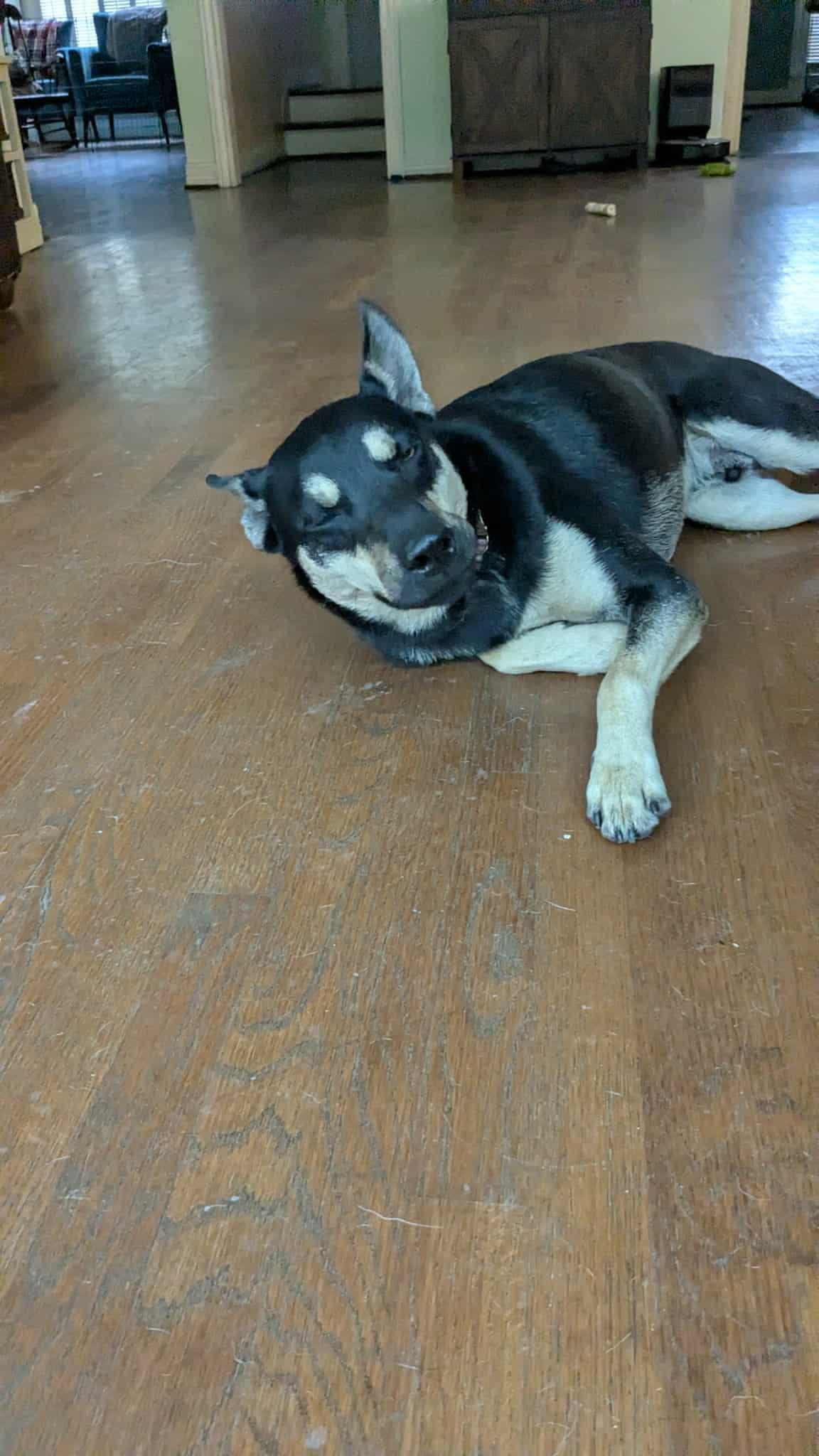 Prince : The Perfect thumbnail 5