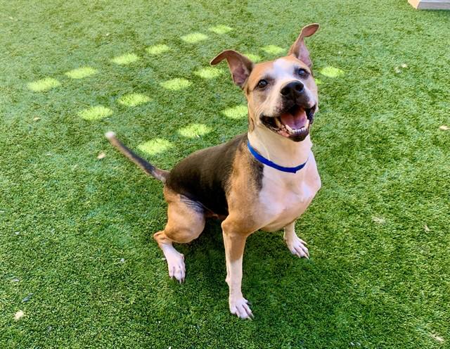 Urgent! Save Me Please!