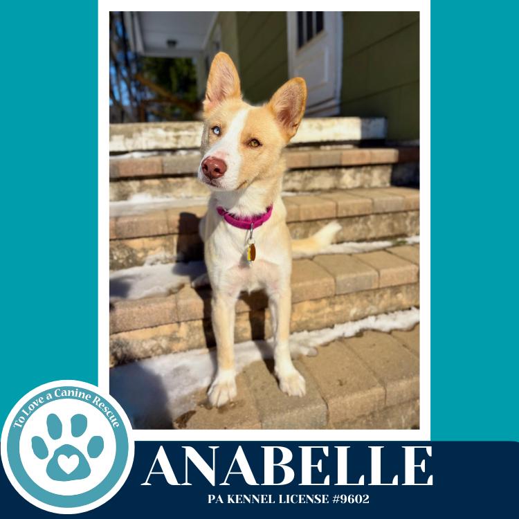 Anabelle thumbnail 2