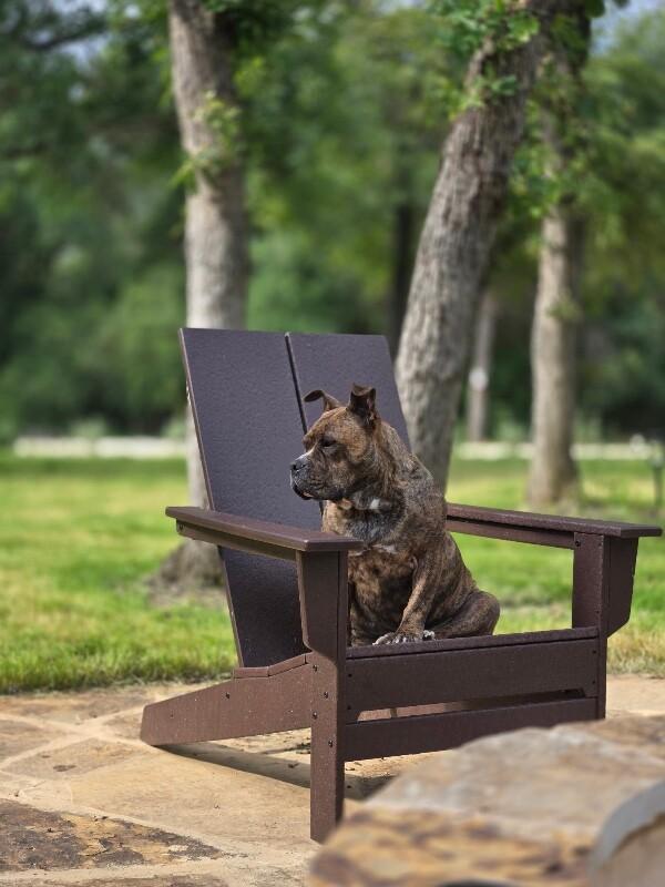 Apple Connie Professional Lovebug thumbnail 2