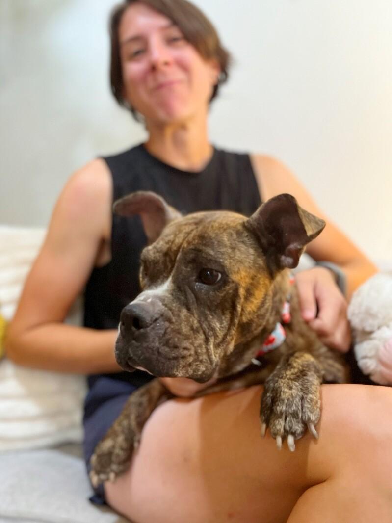 Apple Connie Professional Lovebug thumbnail 5