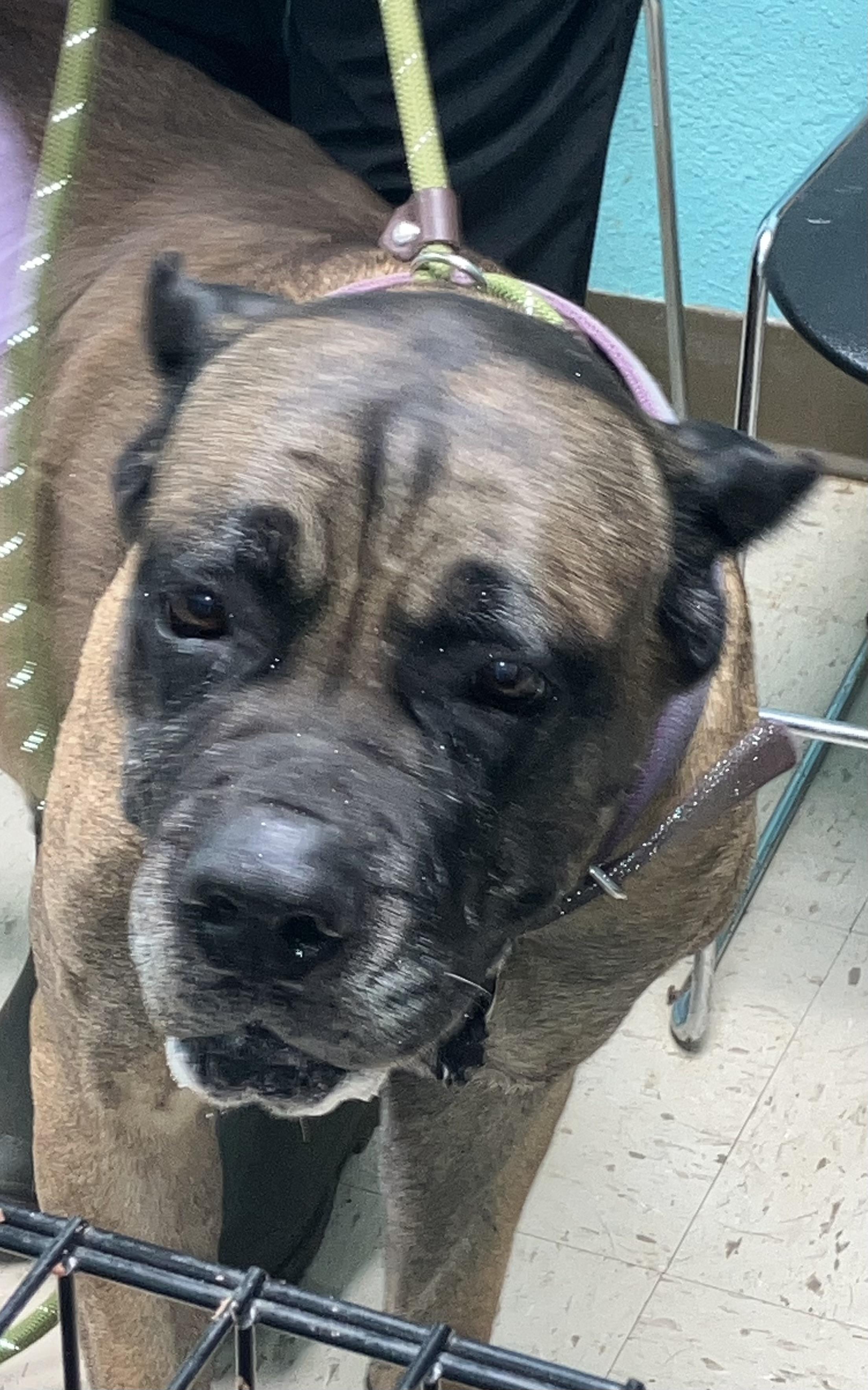 Bernadette thumbnail 2