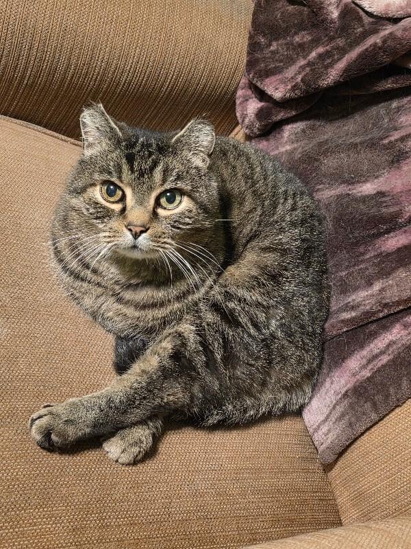 Frank Reynolds thumbnail 3