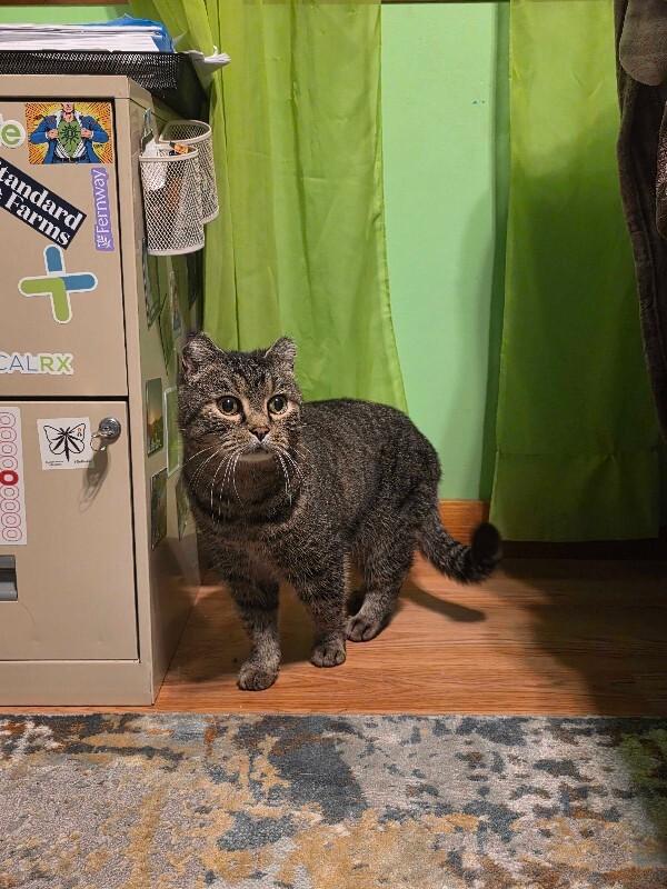 Frank Reynolds thumbnail 4