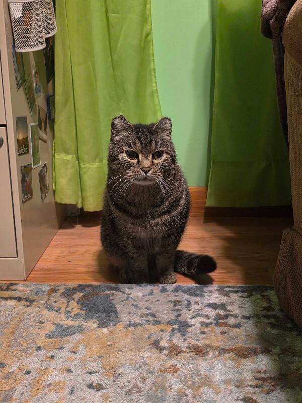 Frank Reynolds thumbnail 5