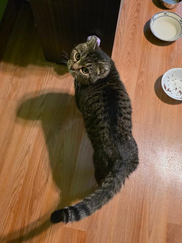 Frank Reynolds thumbnail 6