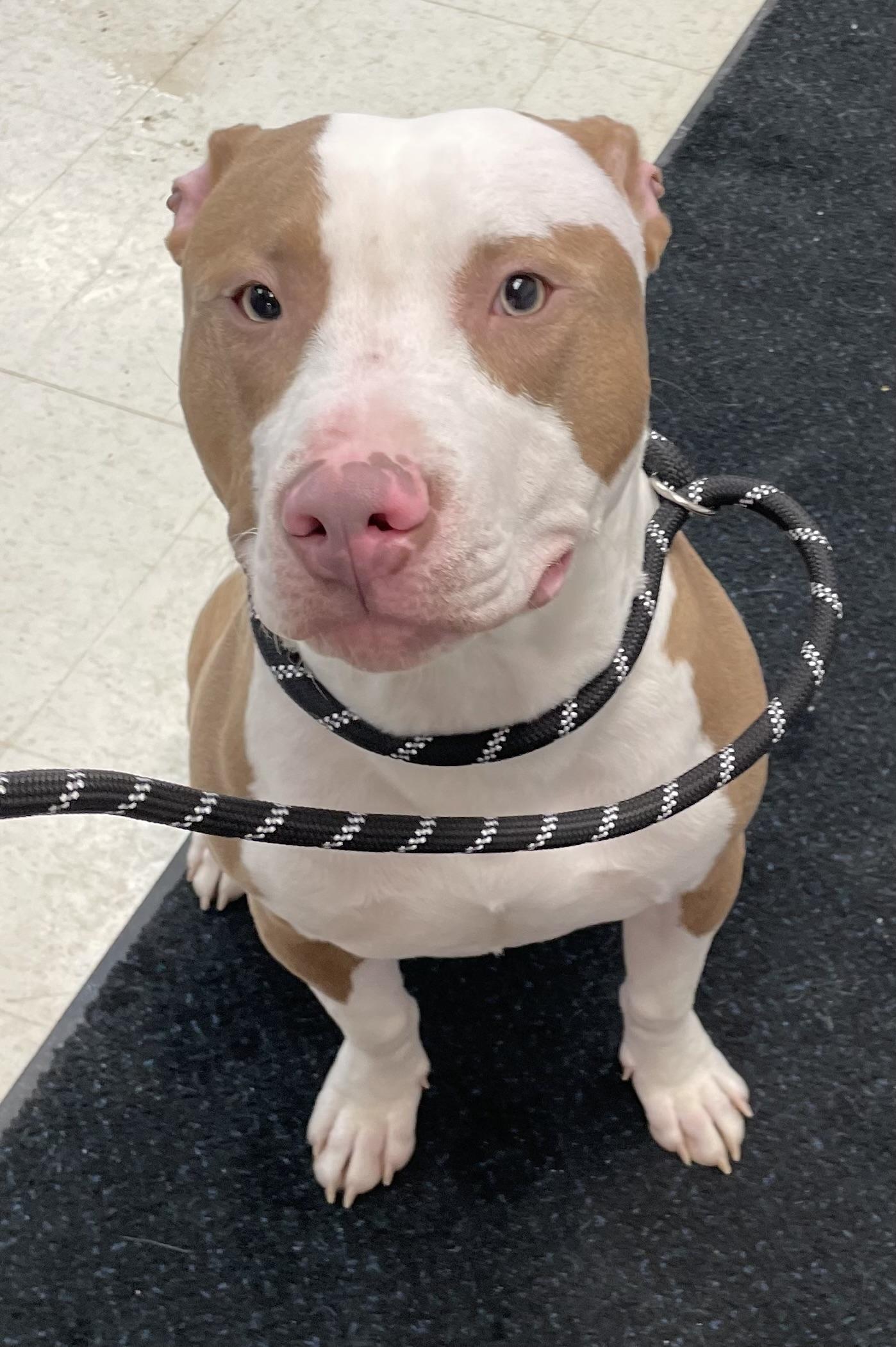 Chip Hold thumbnail 5