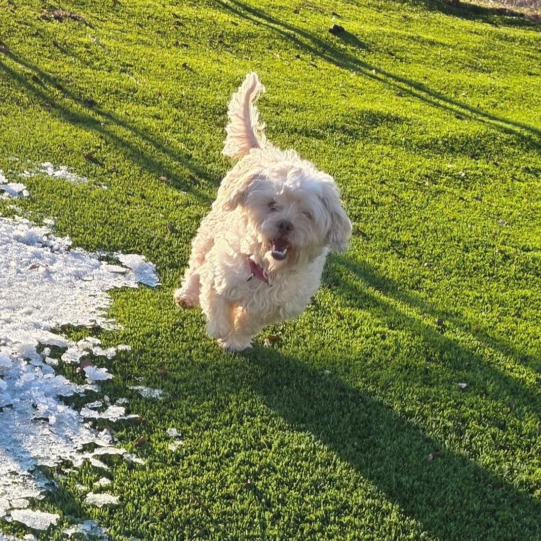 Charlotte thumbnail 3