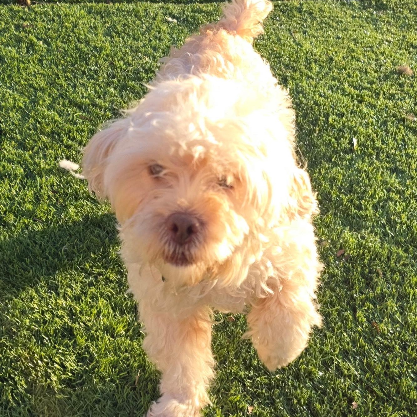 Charlotte thumbnail 4