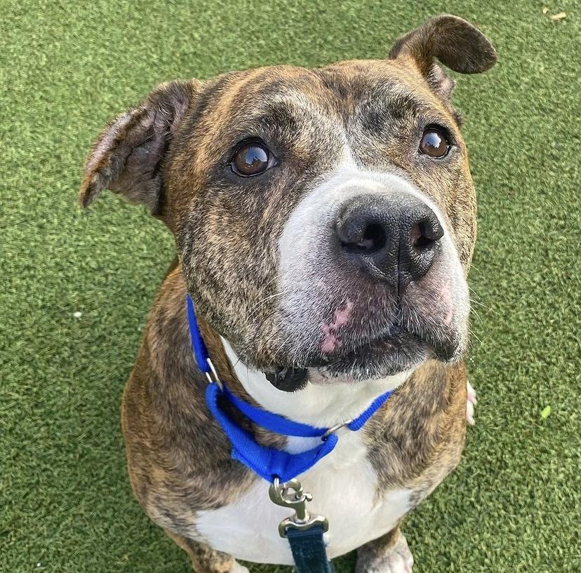 Little Bear thumbnail 2