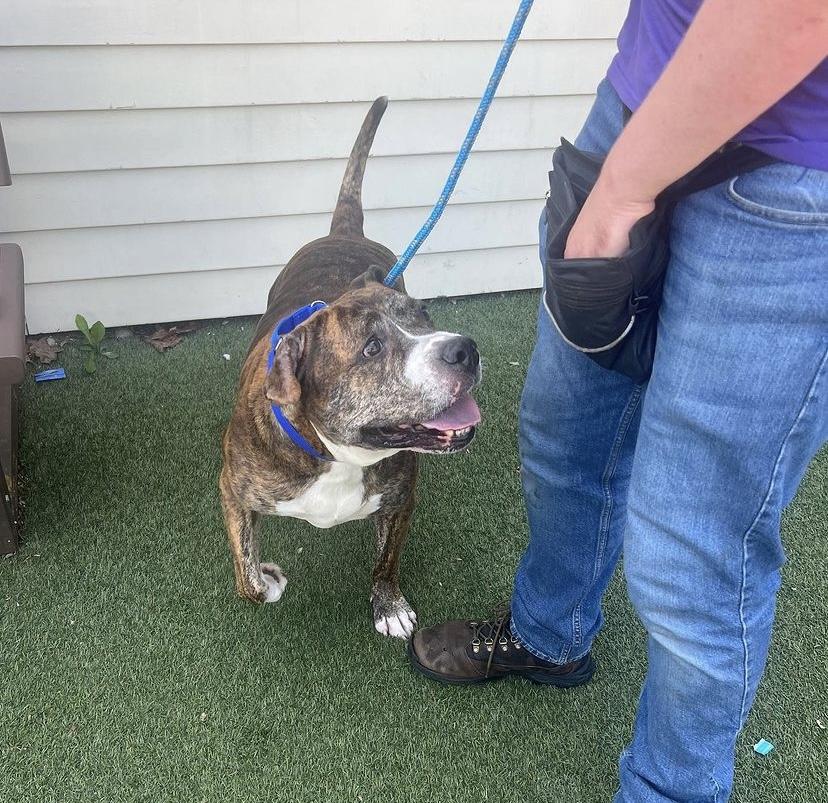 Little Bear thumbnail 4