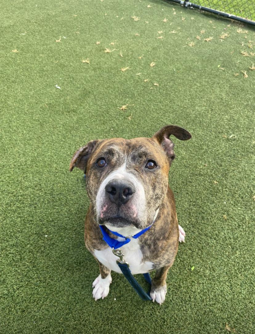 Little Bear thumbnail 6