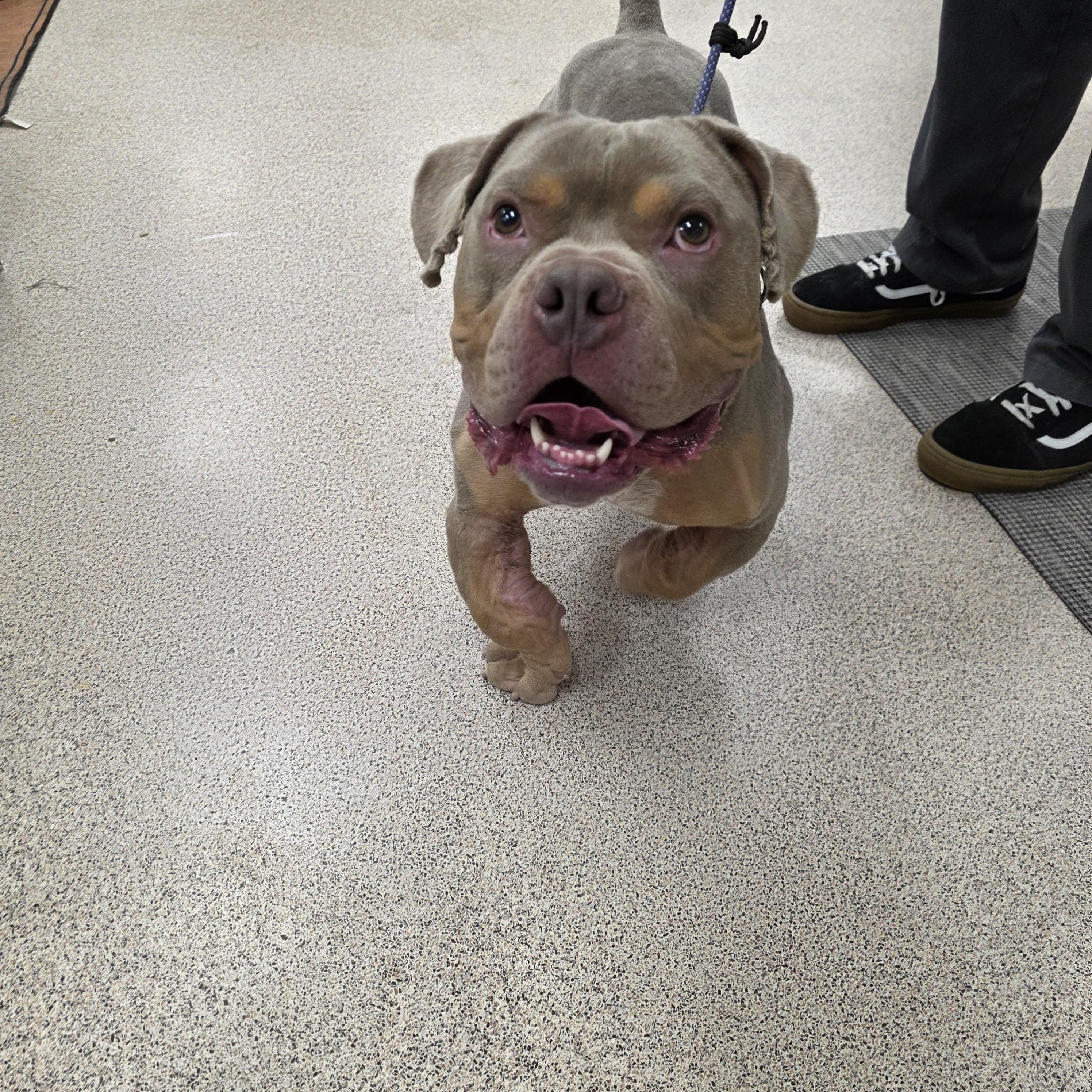 Forrest Gump thumbnail 2