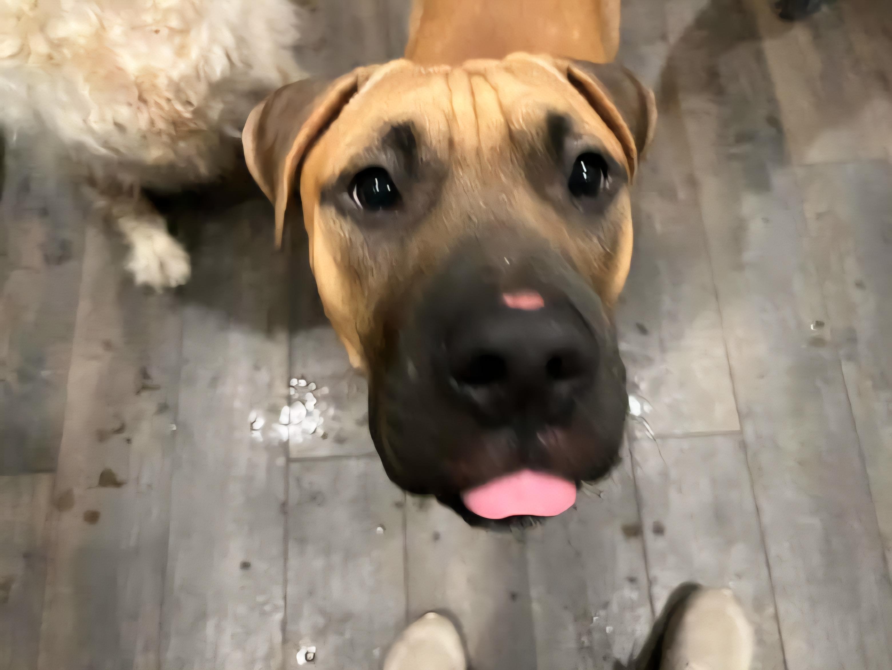 John Cusack thumbnail 2