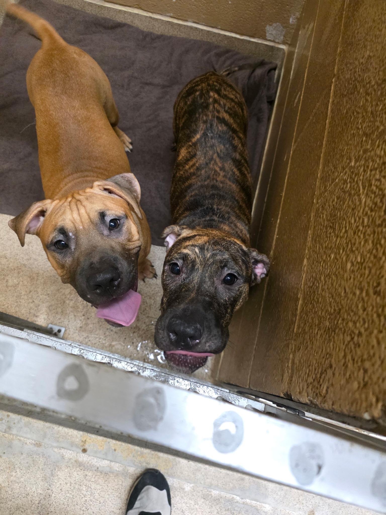 John Cusack thumbnail 3