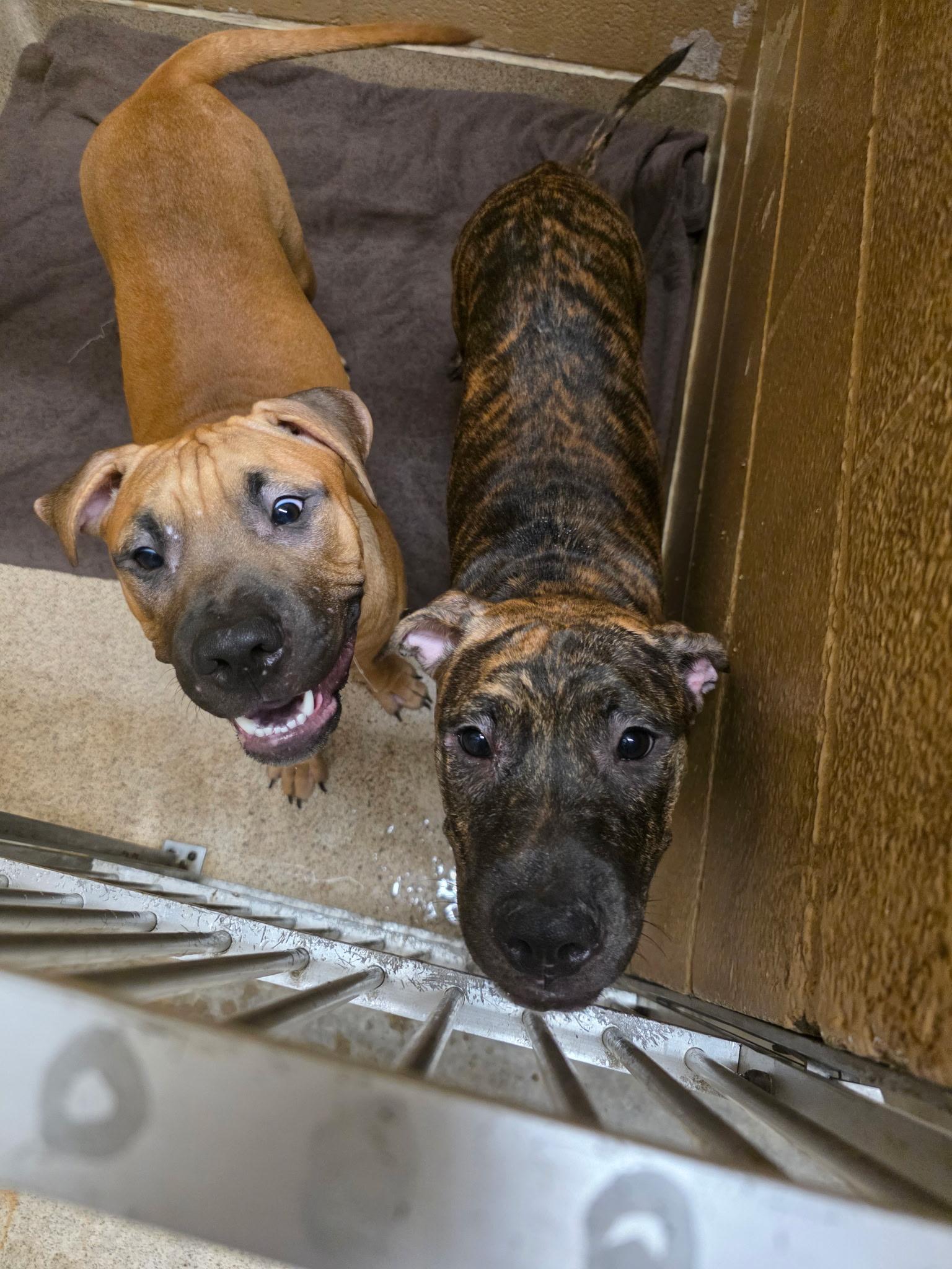 John Cusack thumbnail 5