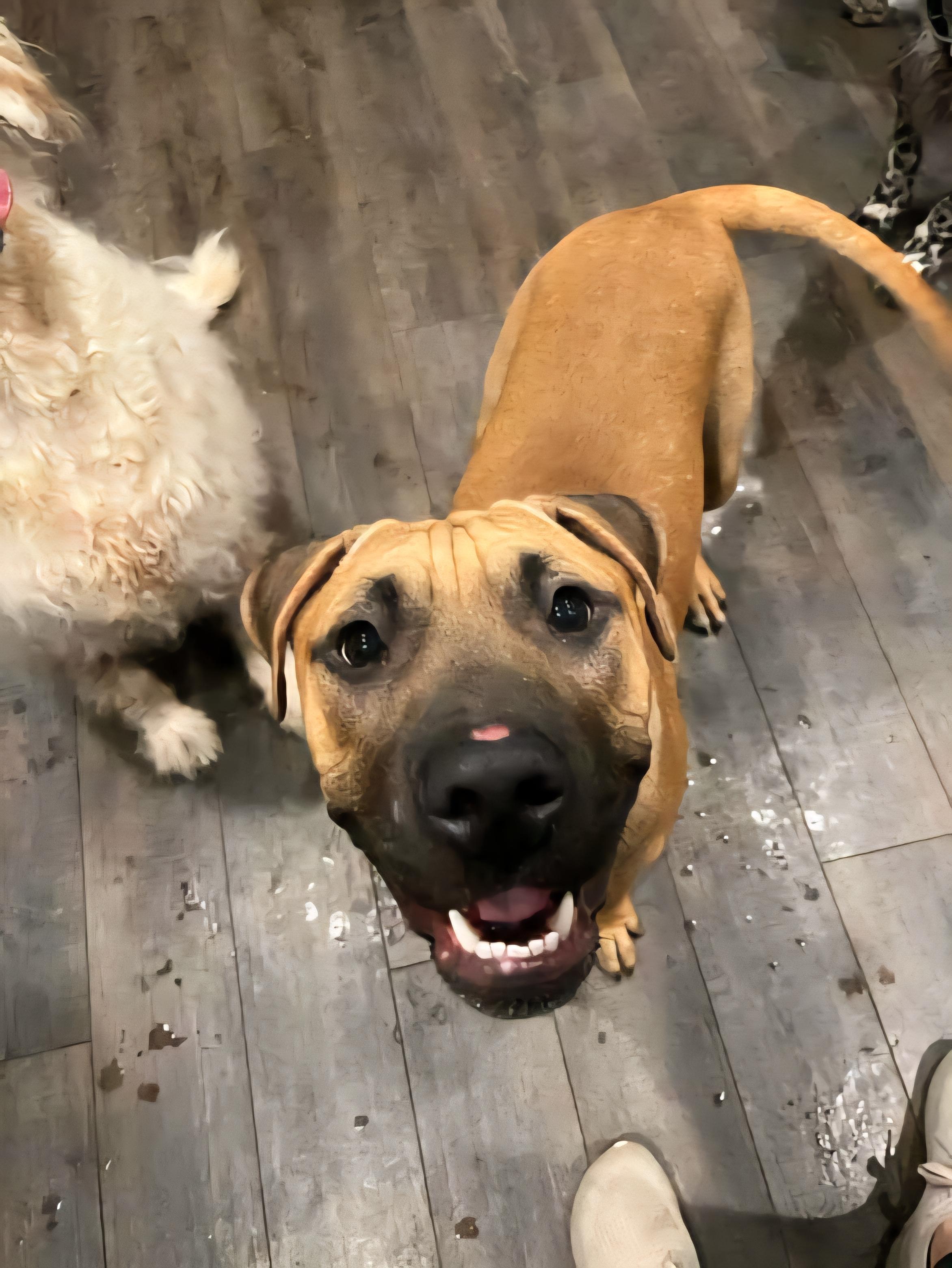 John Cusack thumbnail 6