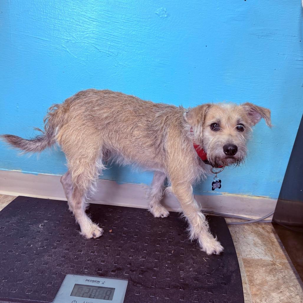 Trader Joe thumbnail 2