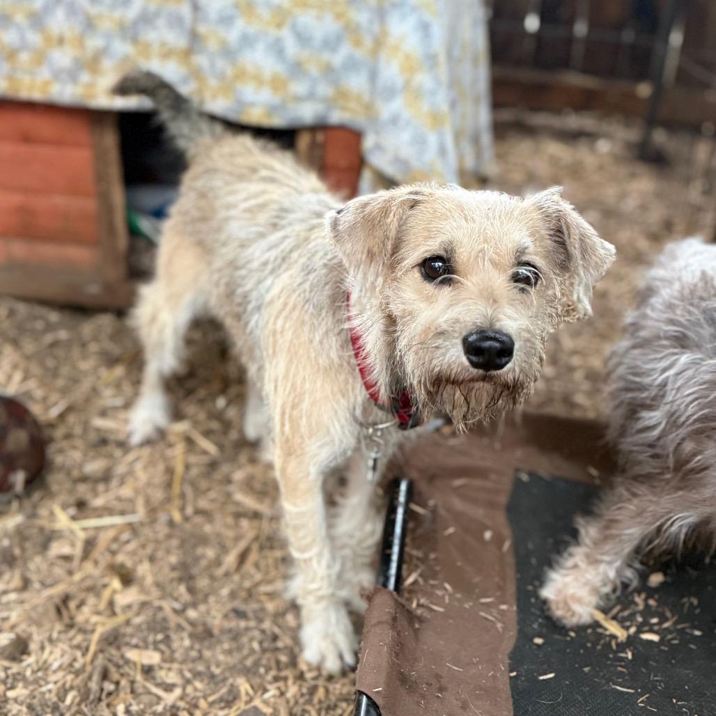 Trader Joe thumbnail 3