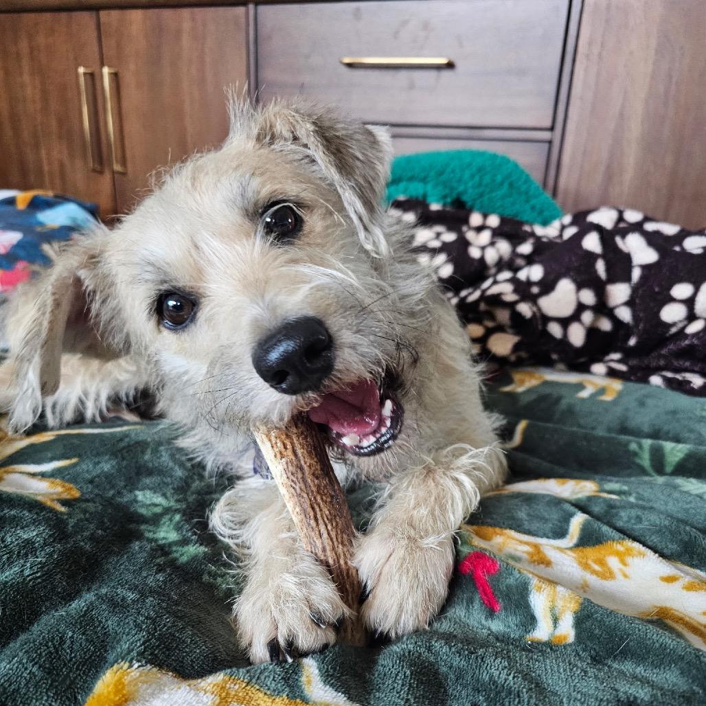 Trader Joe thumbnail 4