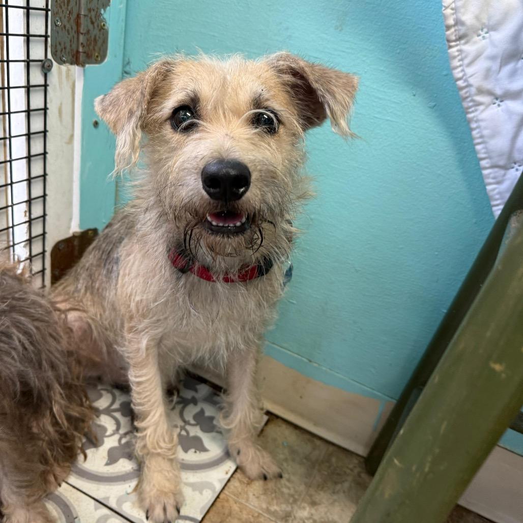 Trader Joe thumbnail 5