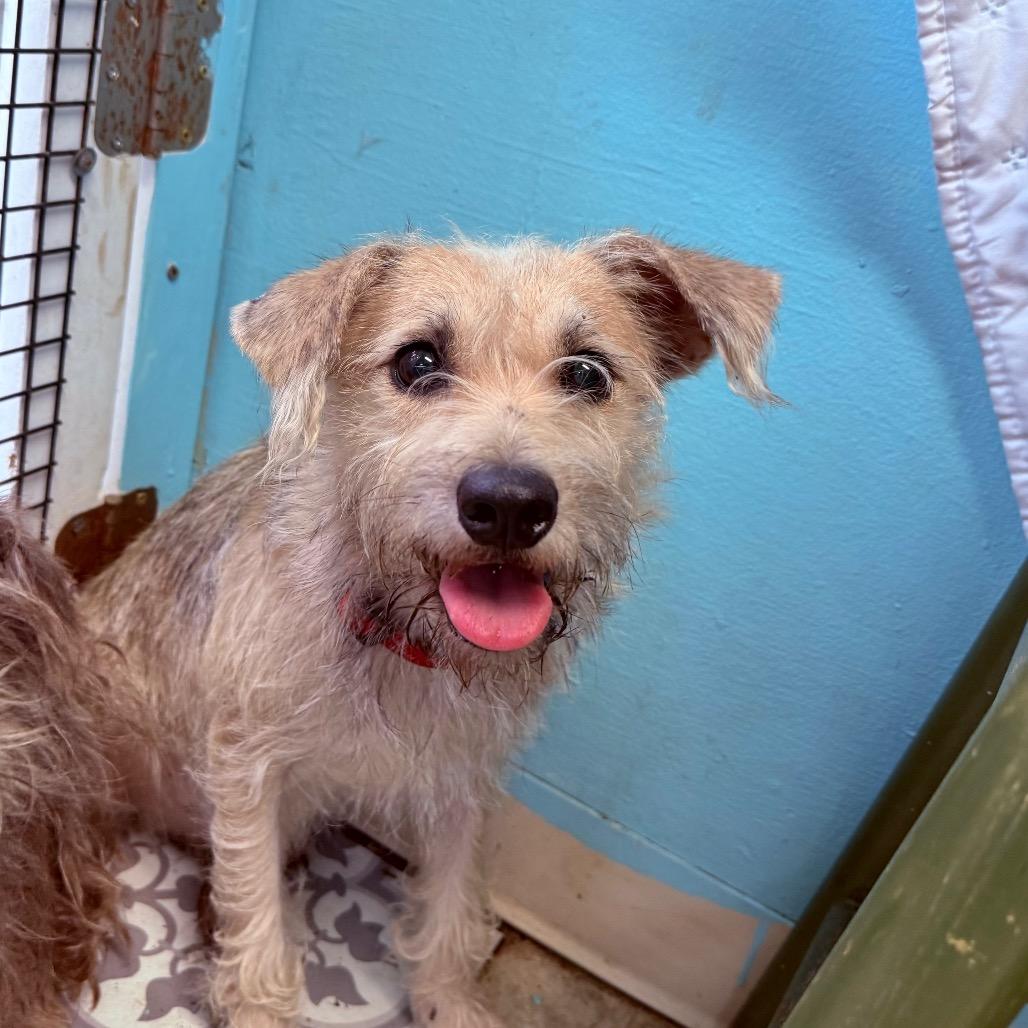 Trader Joe thumbnail 6