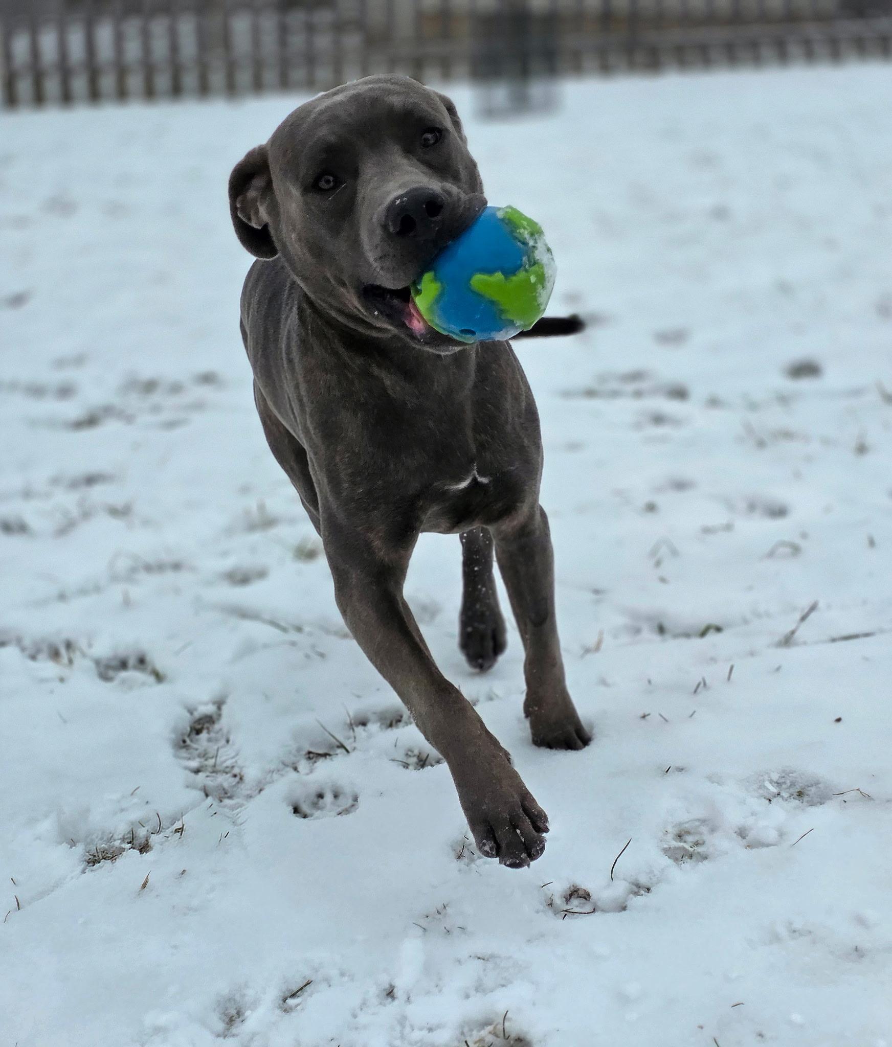 Sweet Pickles thumbnail 2