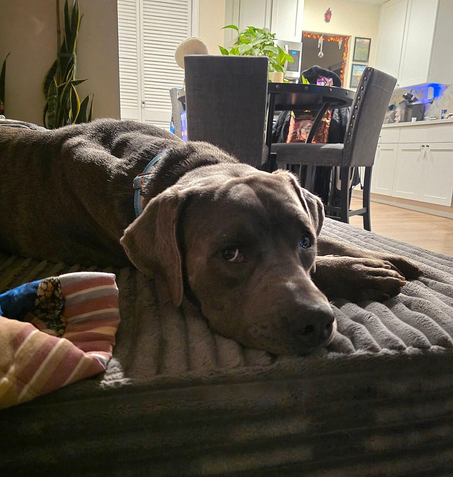 Sweet Pickles thumbnail 3