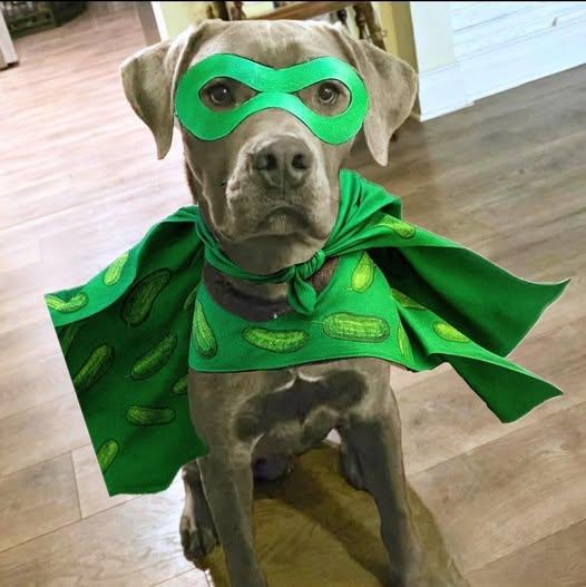 Sweet Pickles thumbnail 6