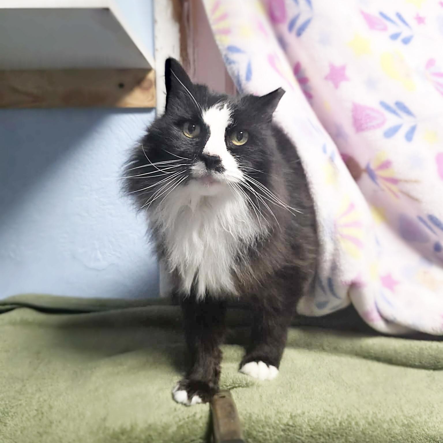 Littlebit thumbnail 4