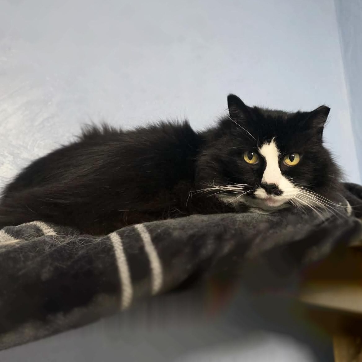 Littlebit thumbnail 5