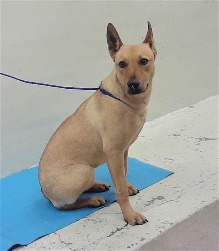 Bailey Barbie Tanner