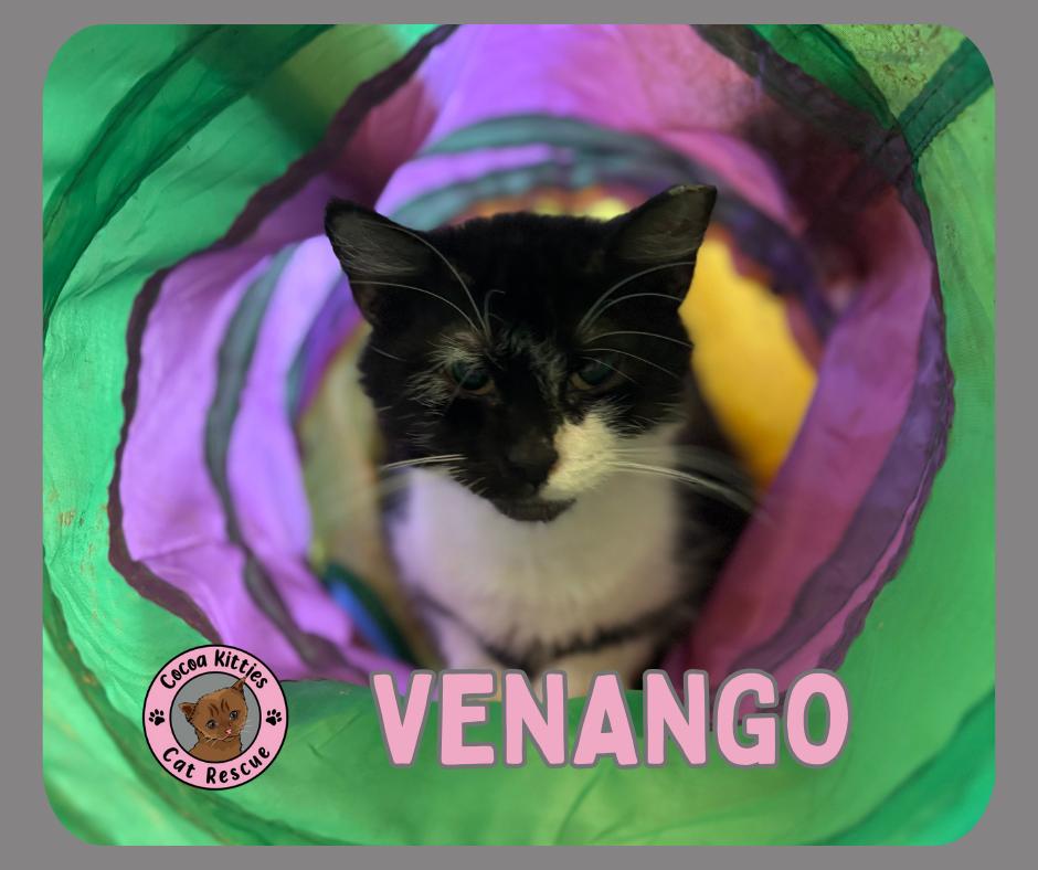 Venango
