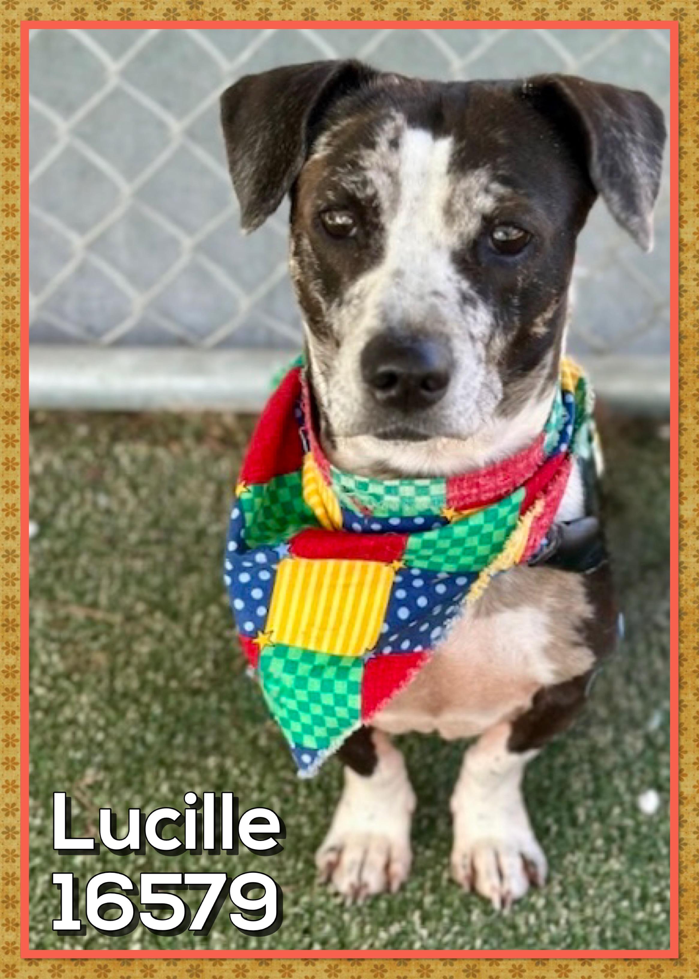 Lucille