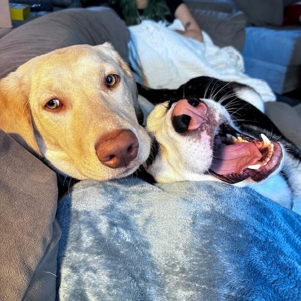 Comet Lmcn thumbnail 2