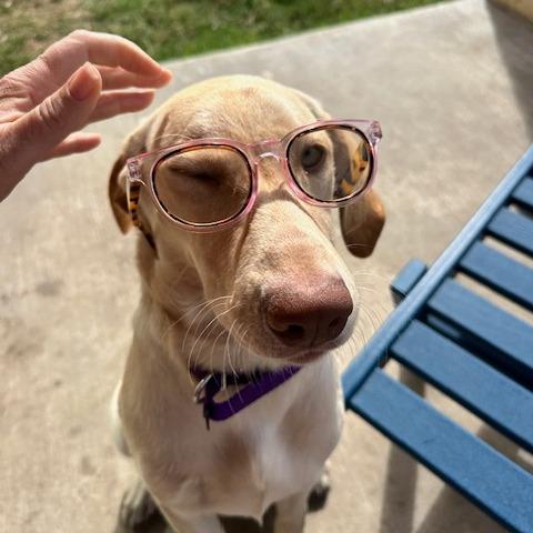 Comet Lmcn thumbnail 3