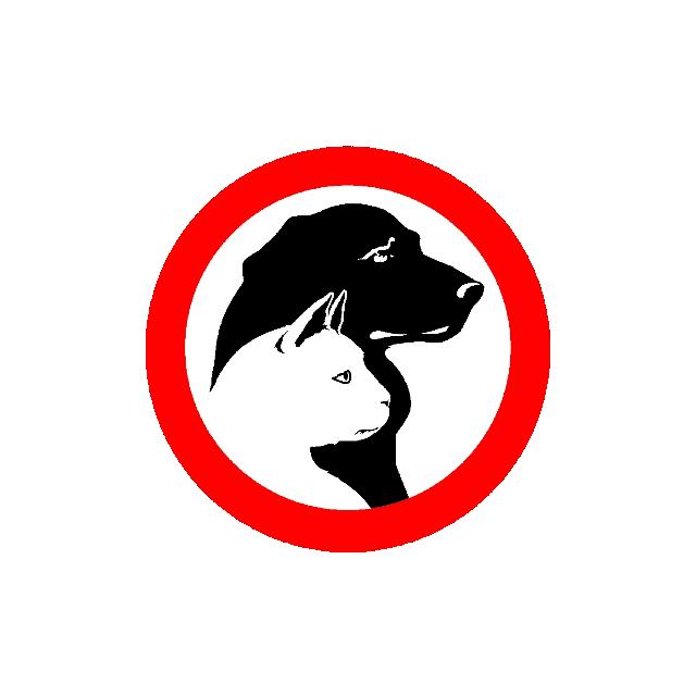 Houlihan thumbnail 2