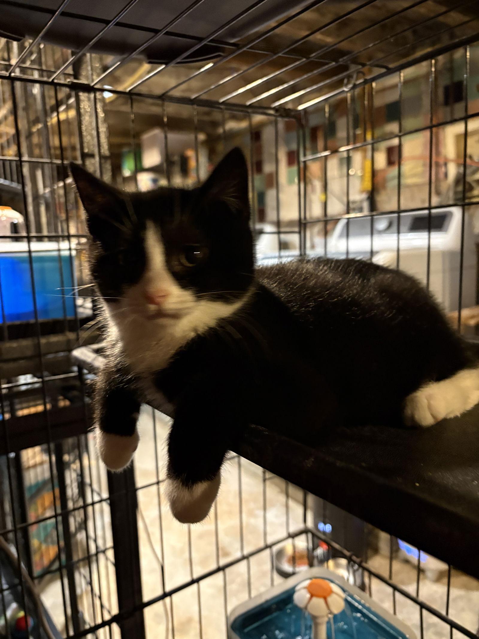 Bobby Clark thumbnail 2